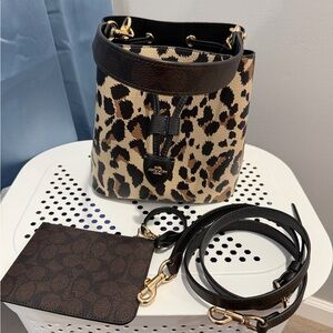Leopard Print Coach Rowan Bucket Bag